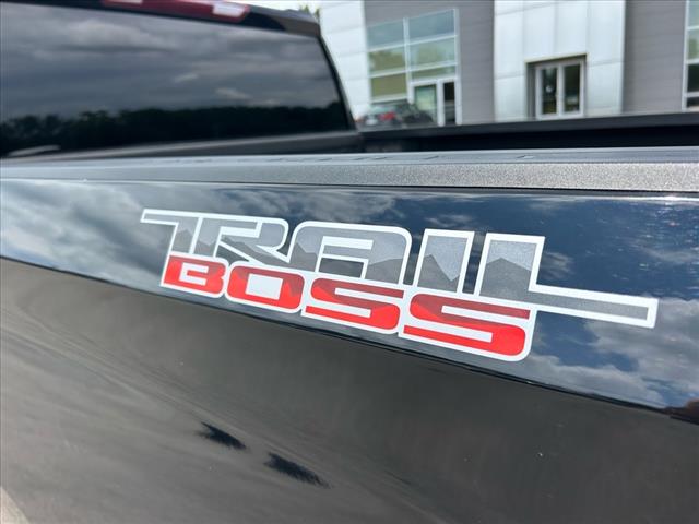 2021 Chevrolet Silverado 1500 LT Trail Boss Z71 Off-Road 4x4