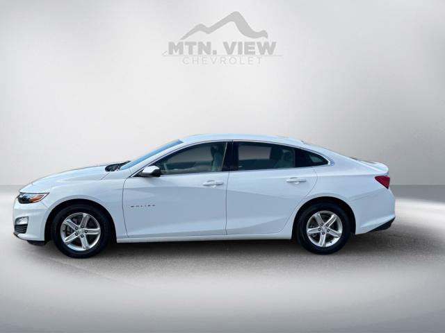2021 Chevrolet Malibu LS Fleet