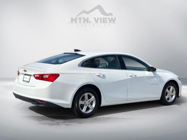 2021 Chevrolet Malibu LS Fleet