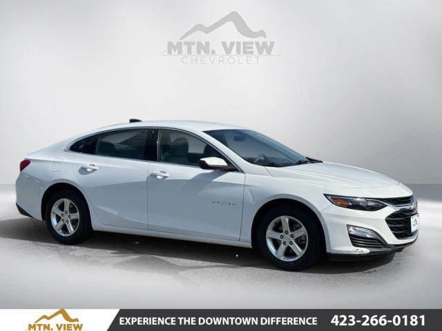 2021 Chevrolet Malibu LS Fleet