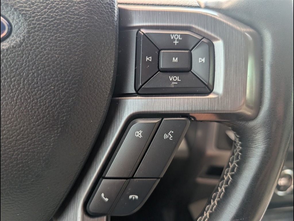 Used 2020 Agate Black Ford Platinum image 33
