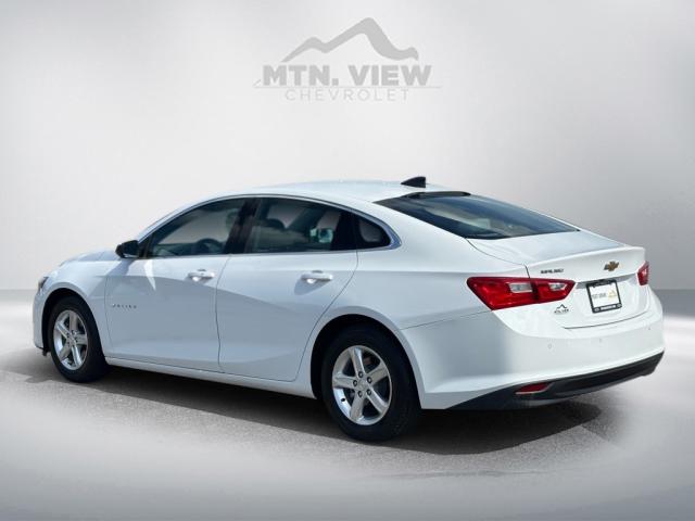 2021 Chevrolet Malibu LS Fleet