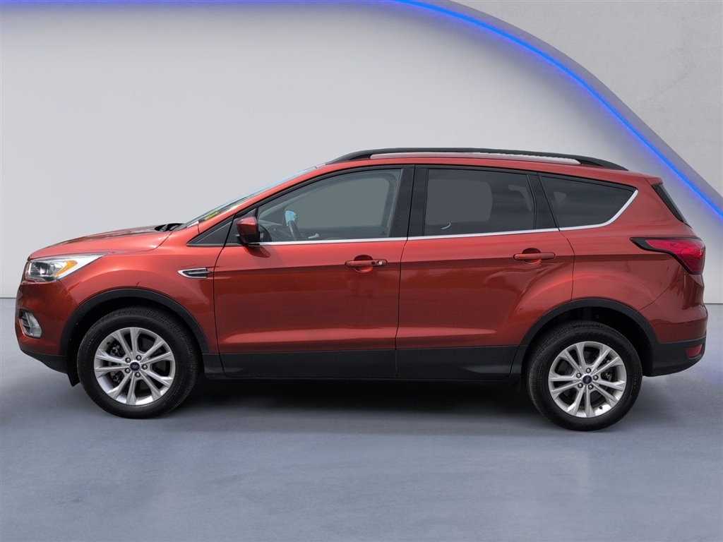 Used 2019 Sedona Orange Ford SEL image 4