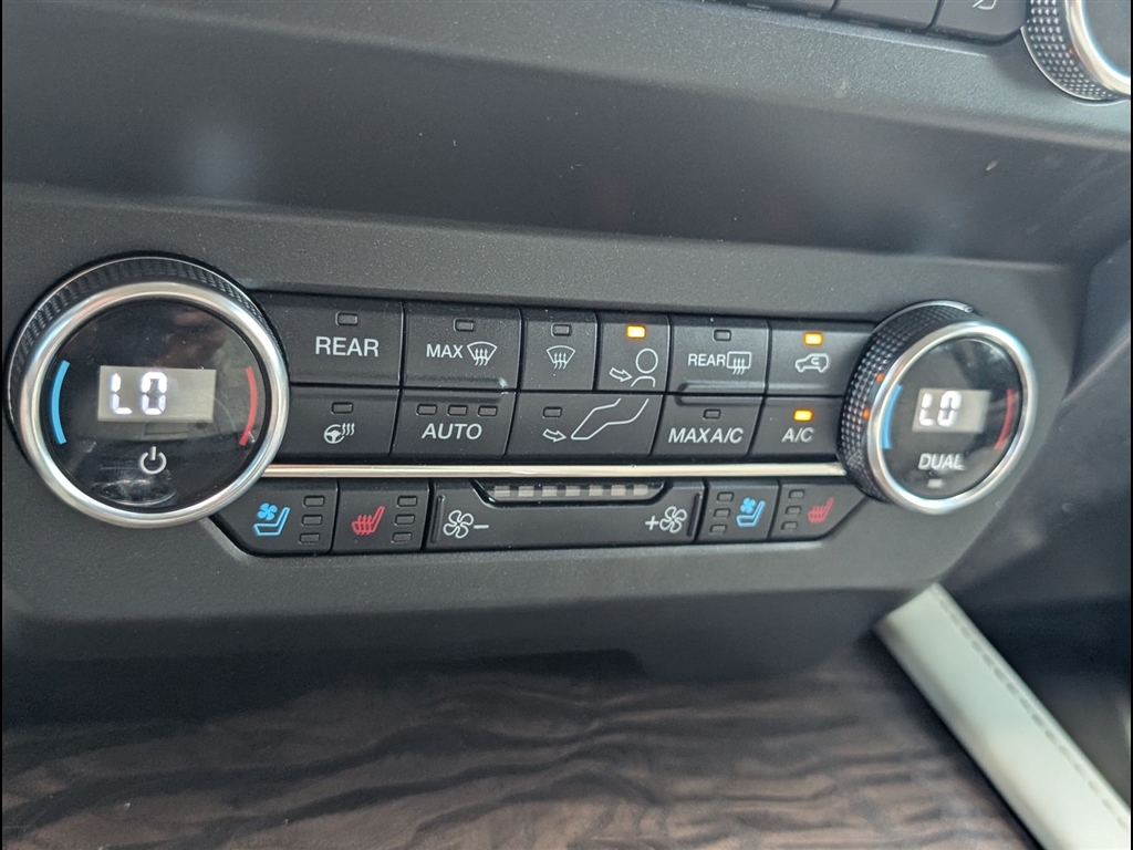 Used 2020 Agate Black Ford Platinum image 8