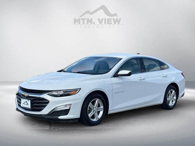 2021 Chevrolet Malibu LS Fleet