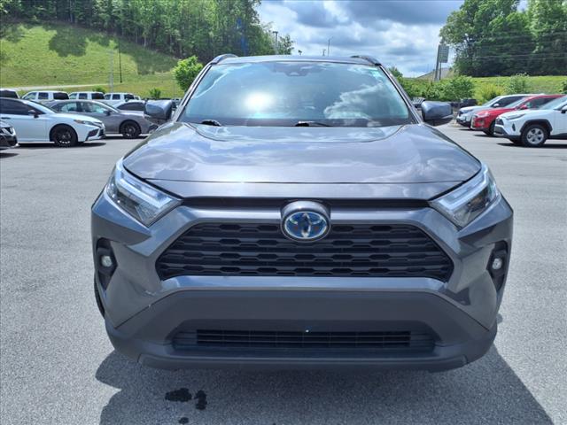 2024 Toyota RAV4 Hybrid XLE Premium