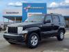 2010 Jeep Liberty