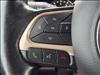 2017 Jeep Renegade Deserthawk