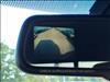 2009 Toyota Tacoma Base