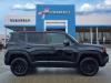 2017 Jeep Renegade Deserthawk