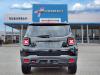 2017 Jeep Renegade Deserthawk