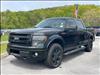 2013 Ford F-150 4WD SUPERCREW 145  FX4