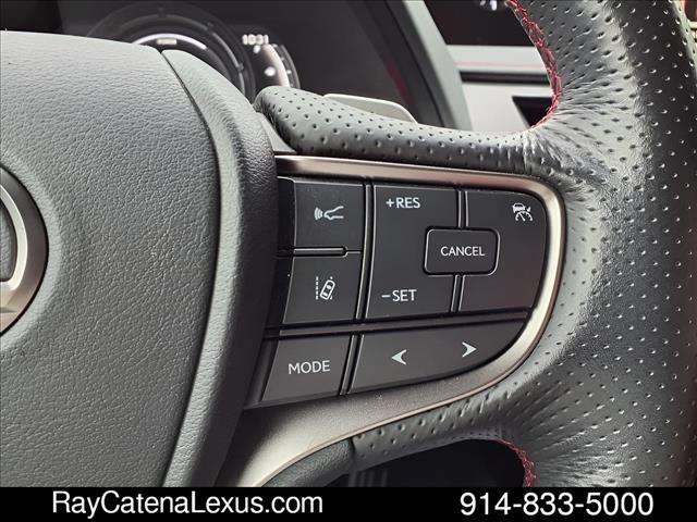 2019 Lexus UX 250h 4D Sport Utility