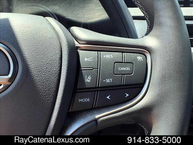 2019 Lexus UX 250h 4D Sport Utility