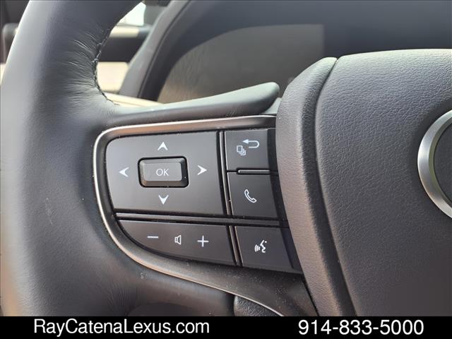 2025 Lexus UX 300h 4D Sport Utility