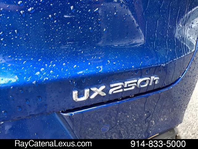 2019 Lexus UX 250h 4D Sport Utility