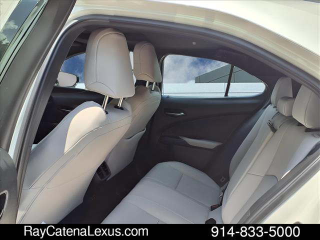 2019 Lexus UX 250h 4D Sport Utility
