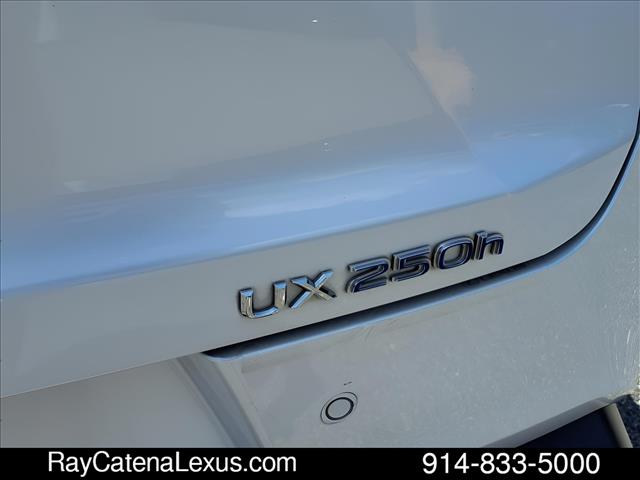 2019 Lexus UX 250h 4D Sport Utility