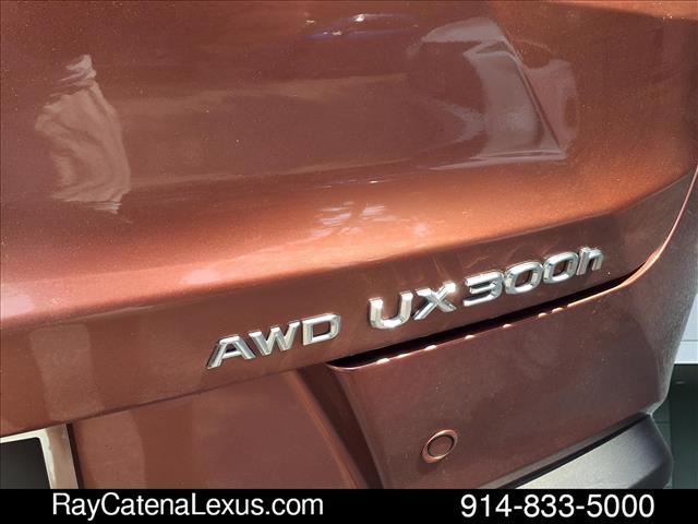 2025 Lexus UX 300h 4D Sport Utility