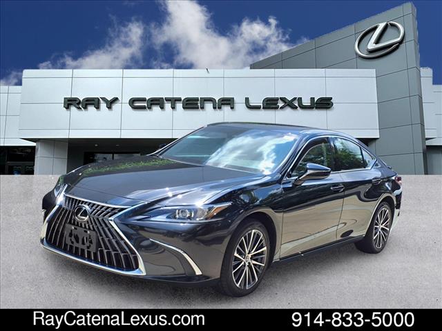 2024 Lexus ES 250 4D Sedan