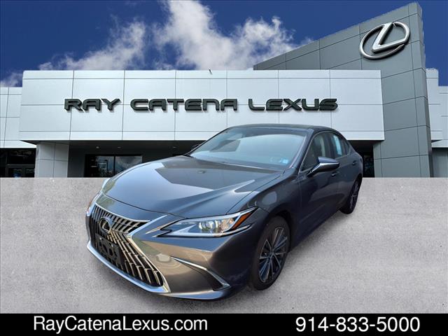 2022 Lexus ES 250 4D Sedan