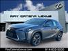 2021 Lexus UX 250h