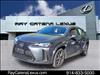 2022 Lexus UX 250h 4D Sport Utility