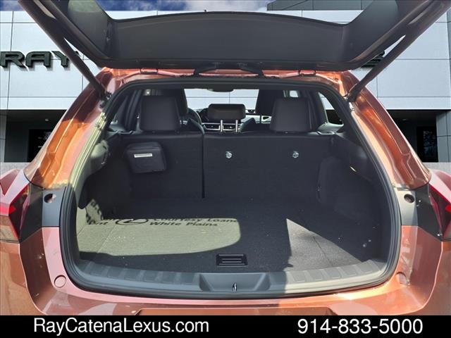 2025 Lexus UX 300h 4D Sport Utility