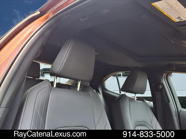 2025 Lexus UX 300h 4D Sport Utility