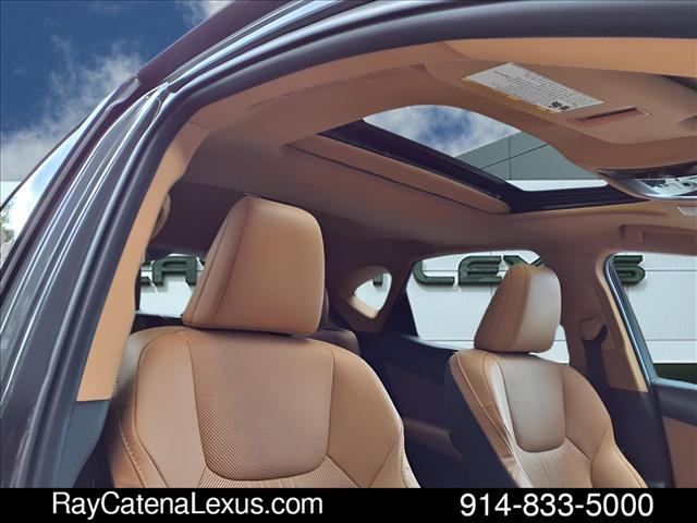 2025 Lexus NX 350 4D Sport Utility