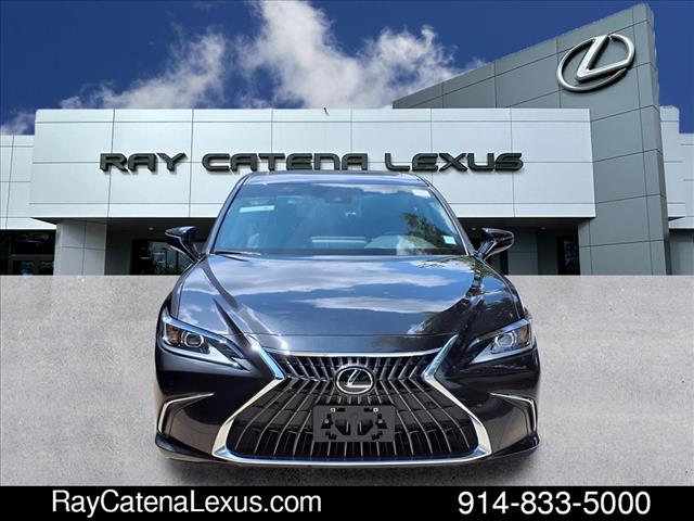 2024 Lexus ES 250 4D Sedan