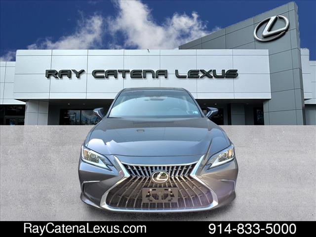2022 Lexus ES 250 4D Sedan