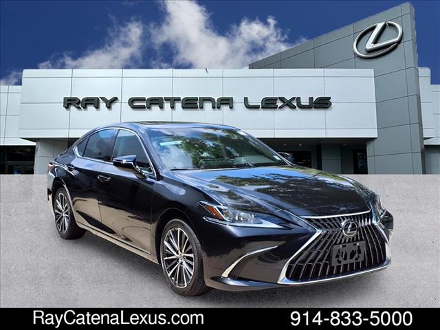 2024 Lexus ES 250 4D Sedan