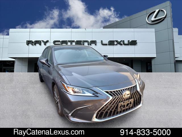2022 Lexus ES 250 4D Sedan