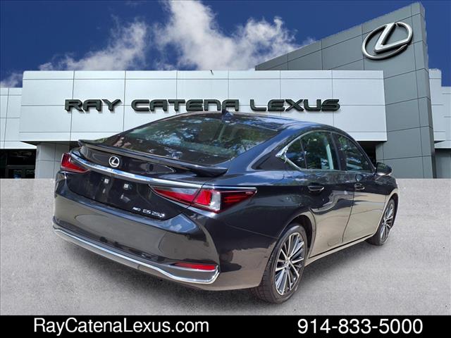 2024 Lexus ES 250 4D Sedan