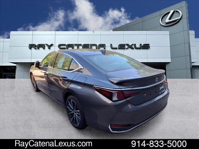 2022 Lexus ES 250 4D Sedan