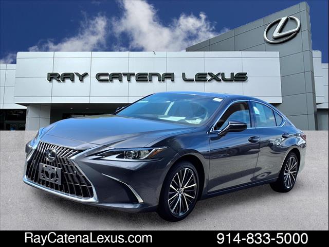 2023 Lexus ES 250 4D Sedan