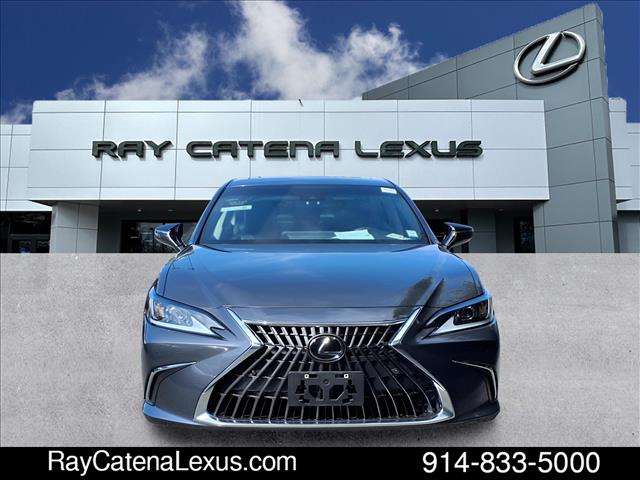 2023 Lexus ES 250 4D Sedan