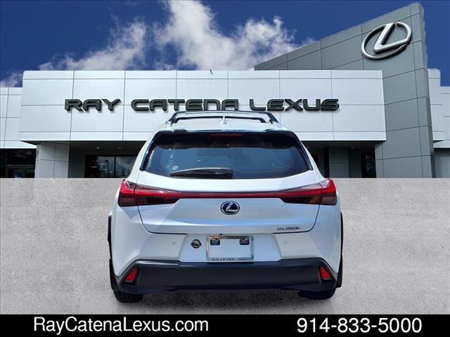 2019 Lexus UX 250h 4D Sport Utility