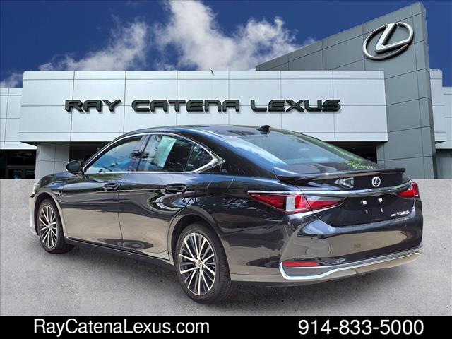 2024 Lexus ES 250 4D Sedan