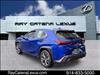 2019 Lexus UX 250h 4D Sport Utility