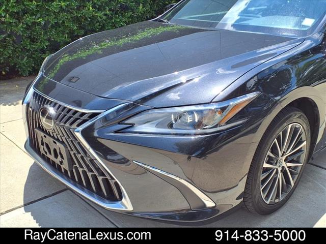 2024 Lexus ES 250 4D Sedan
