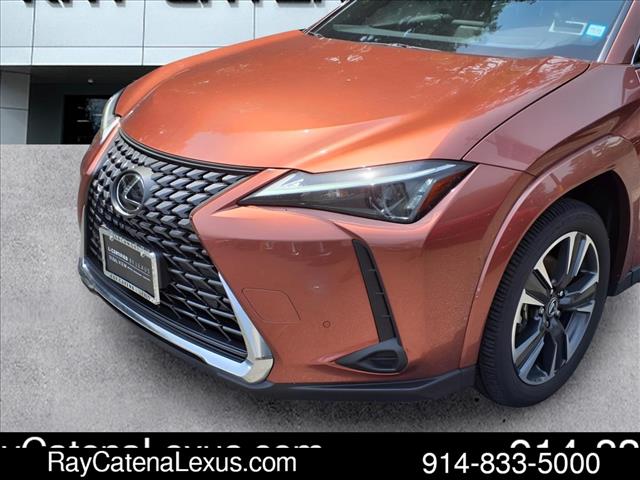 2025 Lexus UX 300h 4D Sport Utility