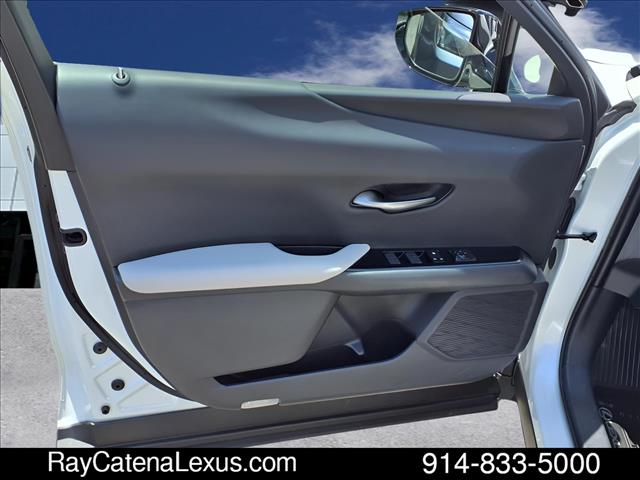 2019 Lexus UX 250h 4D Sport Utility