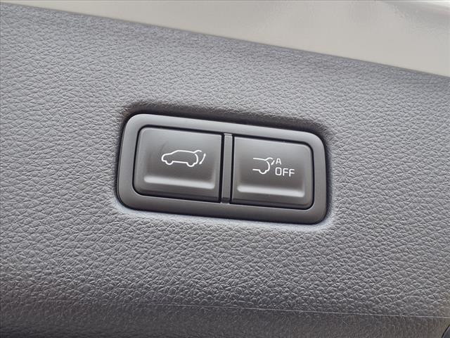 2025 Kia Carnival SX