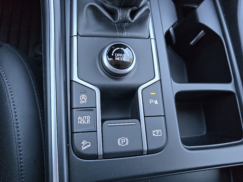 KiaSorento21