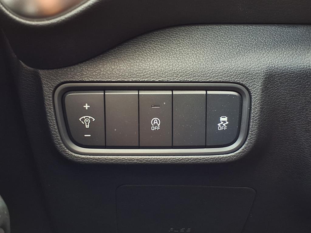 KiaSoul21