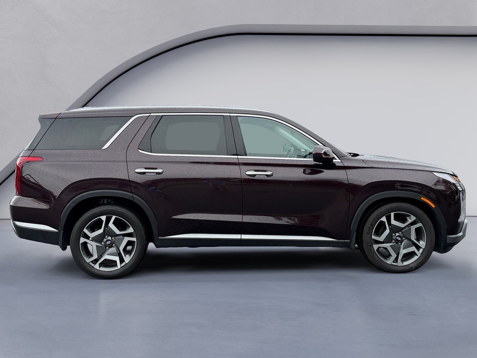 HyundaiPALISADE6