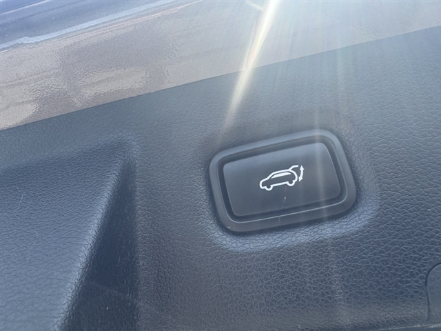 2019 Hyundai SANTA FE Limited - Photo 10