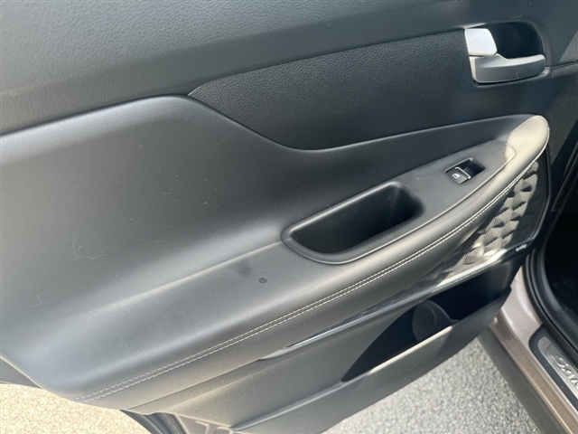 2019 Hyundai SANTA FE Limited - Photo 11